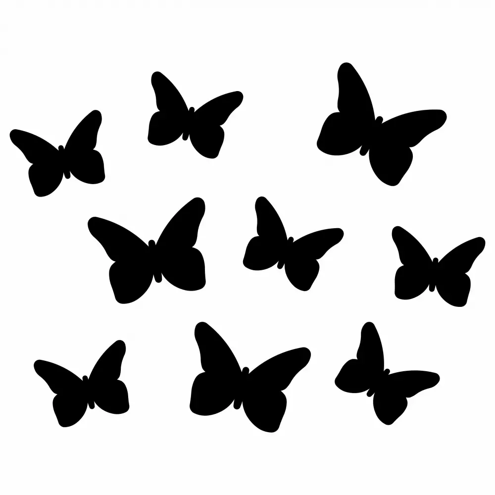 Obraz Motyle