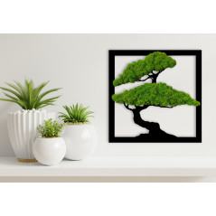 Obraz Drzewo Bonsai mech chrobotek kwadrat