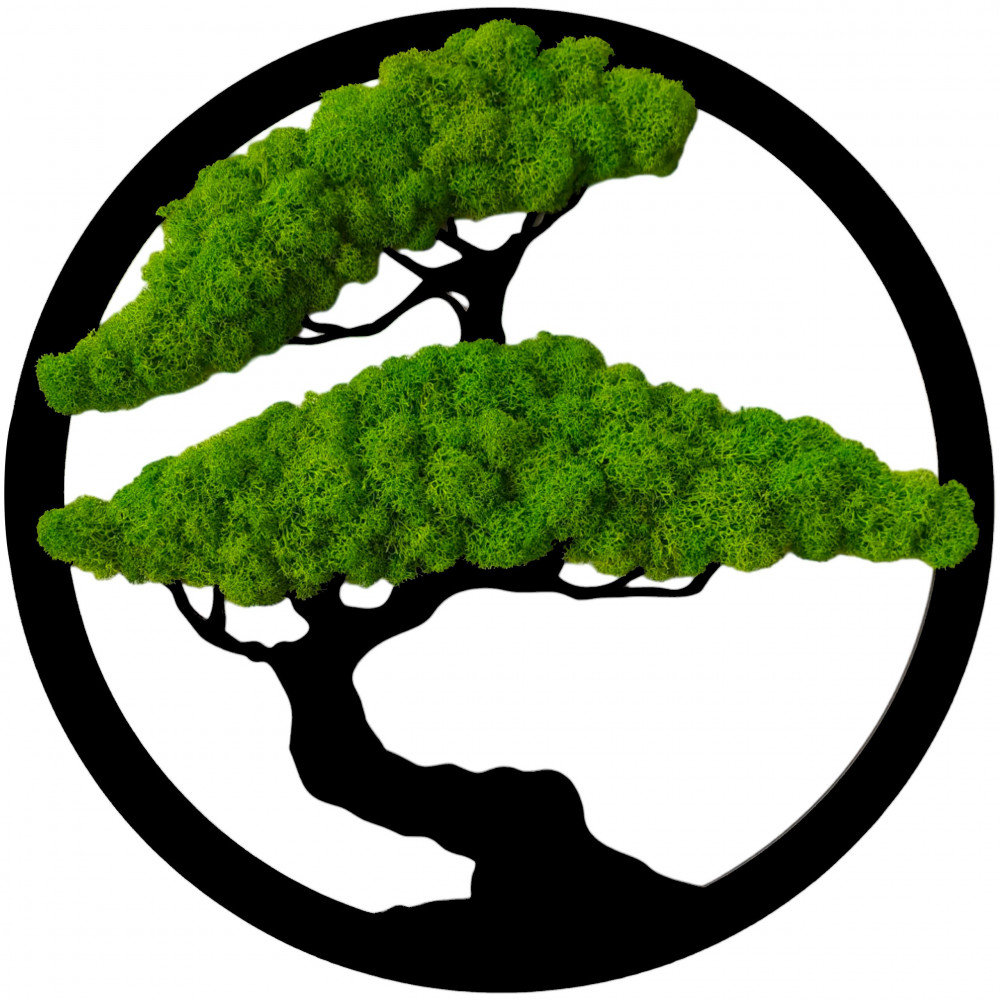 Obraz Drzewo Bonsai mech chrobotek