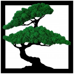 Obraz Drzewo Bonsai ciemny mech chrobotek kwadrat