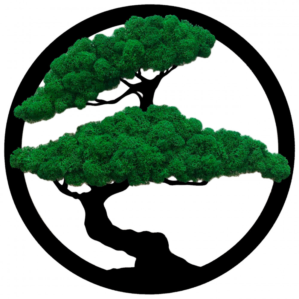 Obraz Drzewo Bonsai ciemny mech chrobotek
